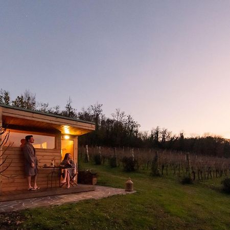 Agriturismo Terre Bianche Теоло Экстерьер фото