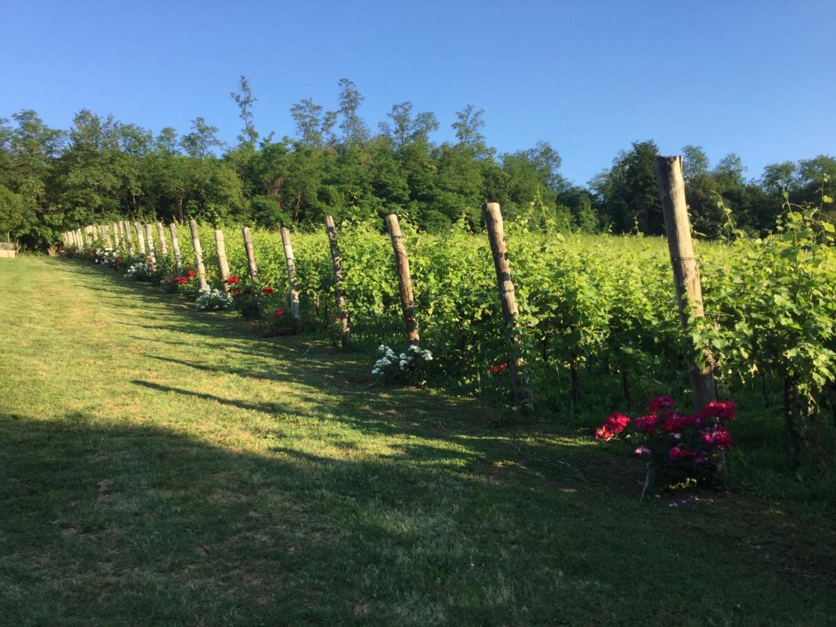 Agriturismo Terre Bianche Теоло Экстерьер фото