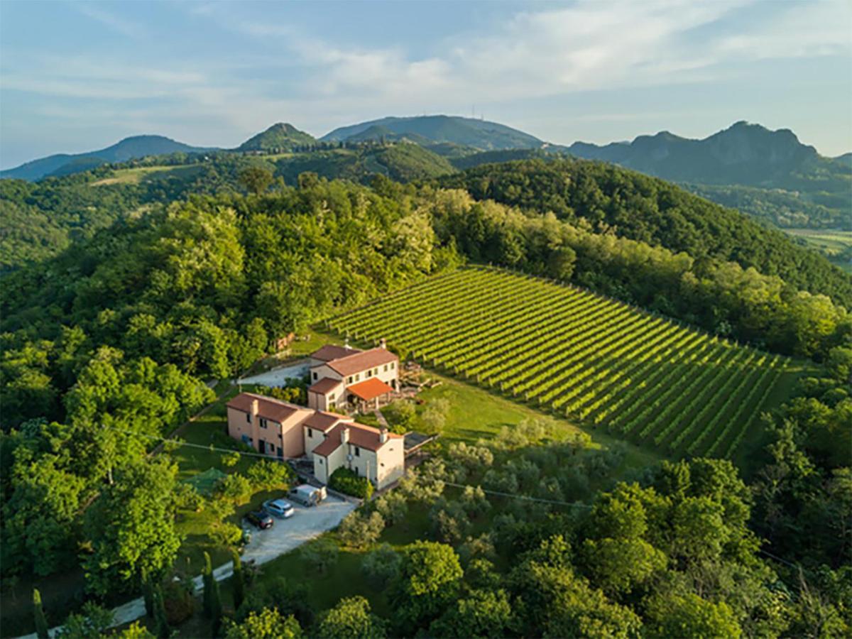 Agriturismo Terre Bianche Теоло Экстерьер фото