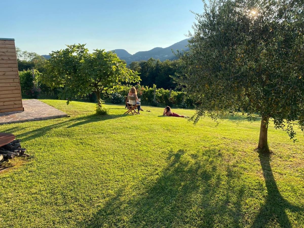 Agriturismo Terre Bianche Теоло Экстерьер фото