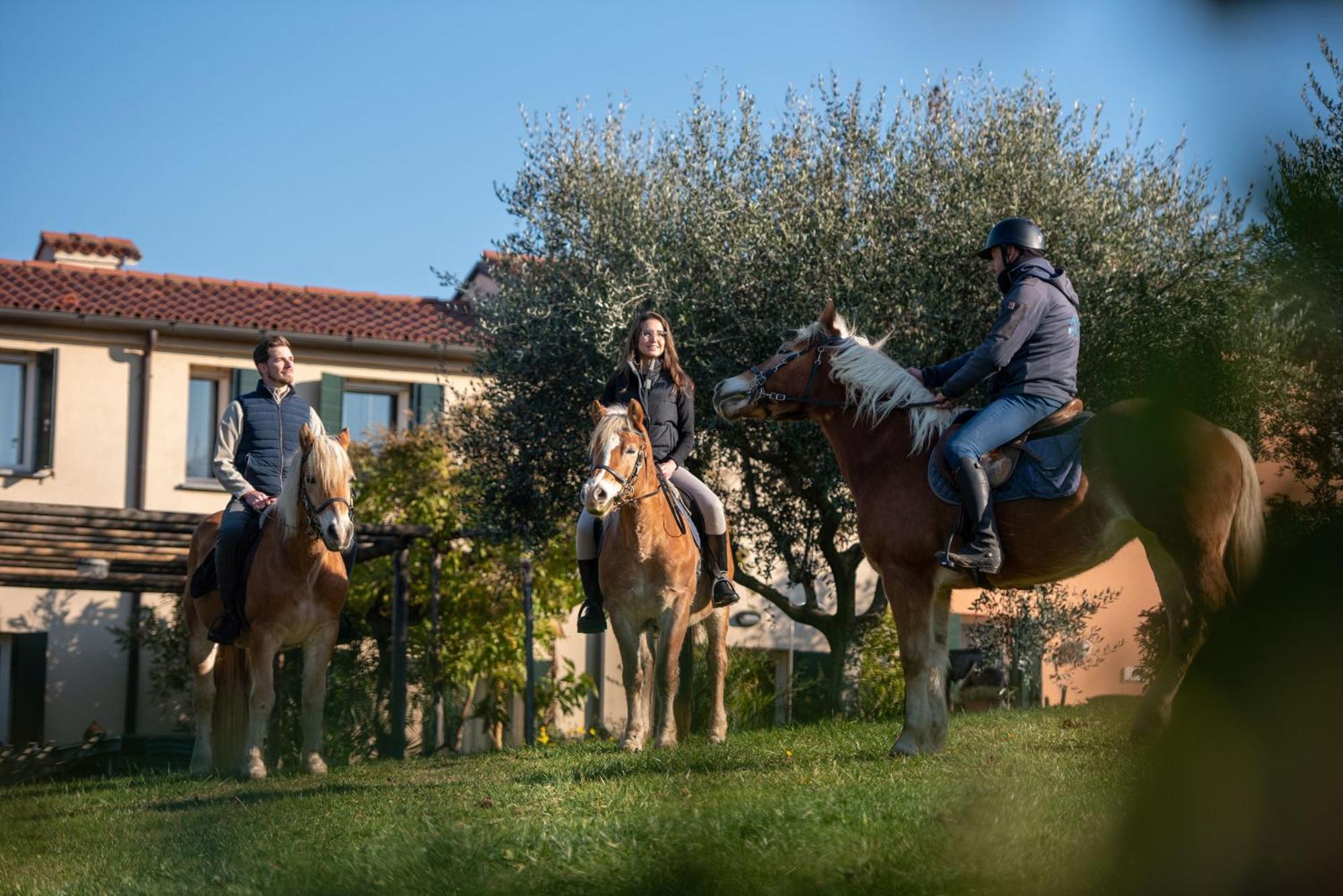 Agriturismo Terre Bianche Теоло Экстерьер фото